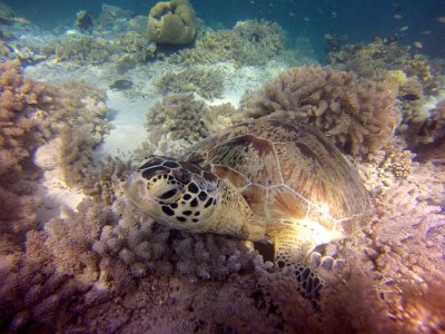2015-11-26 13-57-30.218
